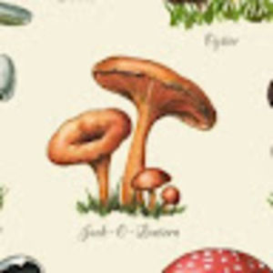 Meet your Posher, Mushroomfungi